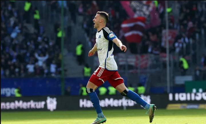 关于汉堡队主场告负，德甲保级形势雪上加霜的信息