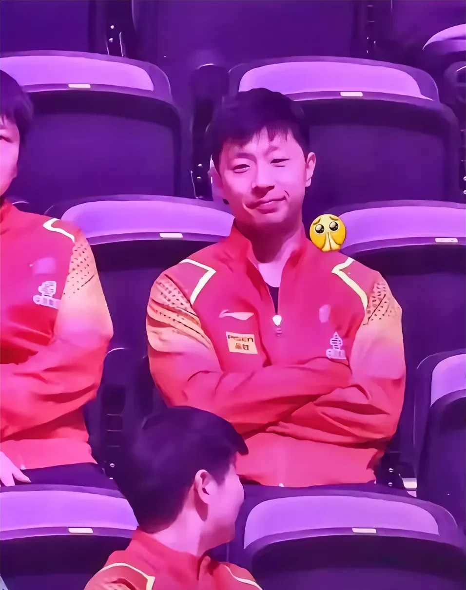 奥地利乒乓球队鏖战日本乒乓球队，马龙送出助攻的简单介绍