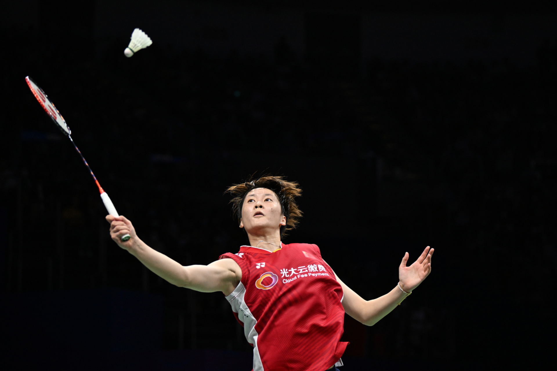 泰国羽毛球队血洗日本羽毛球队，马琳关键制胜的简单介绍