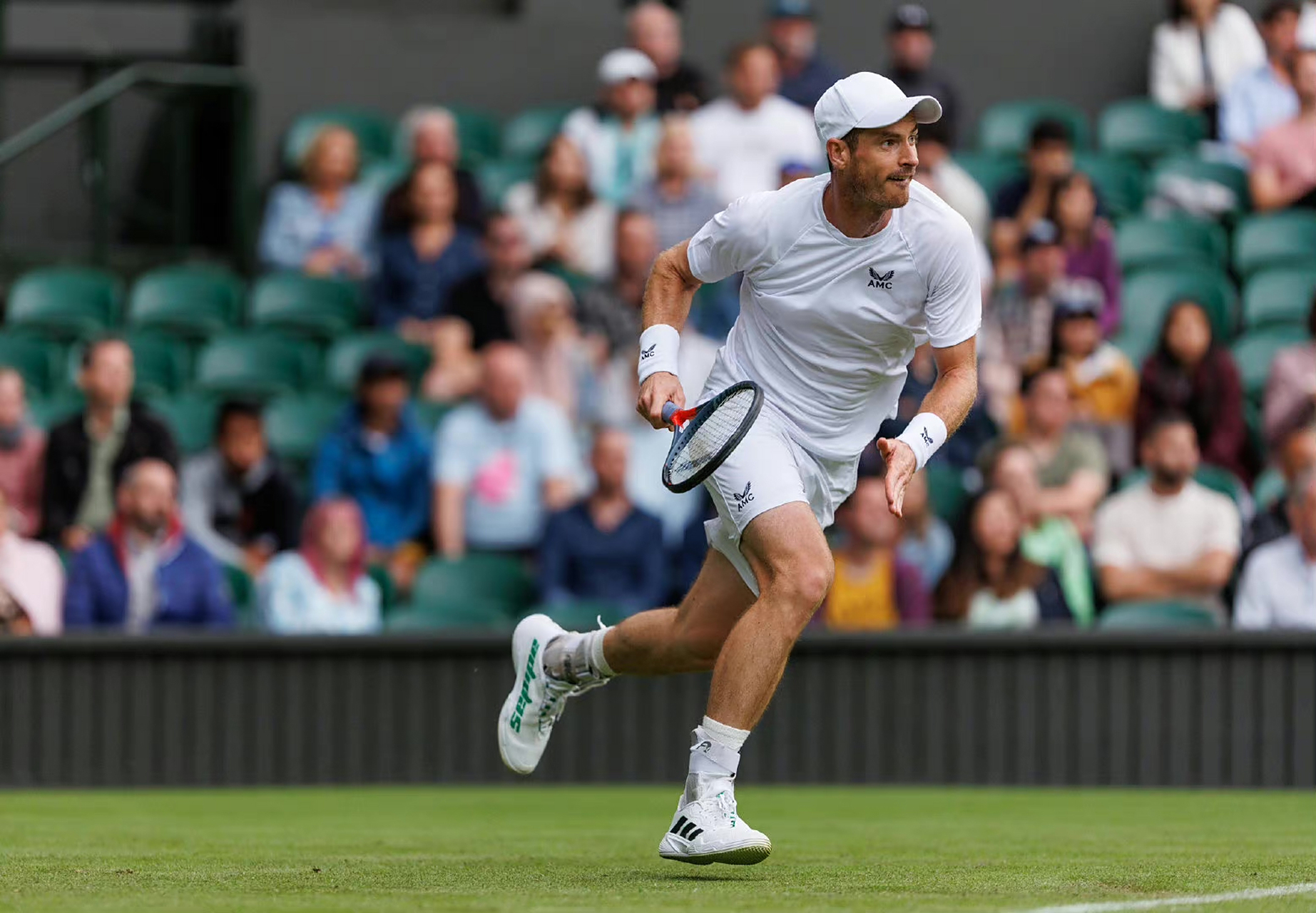 法国网球队翻盘美国网球队，穆雷关键制胜的简单介绍