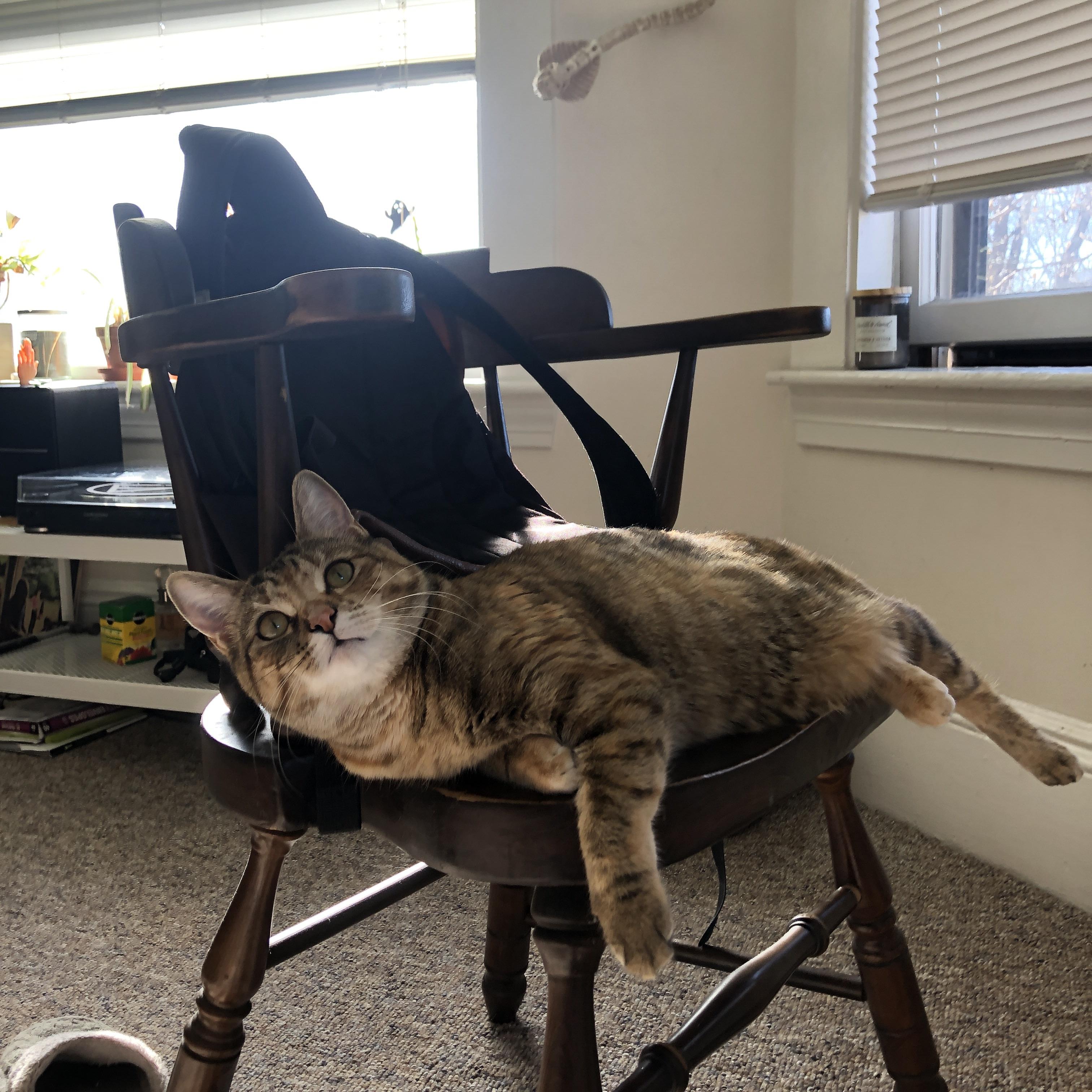 费城单节风暴击溃雄鹿,锡安持续杀伤力改写比赛格局