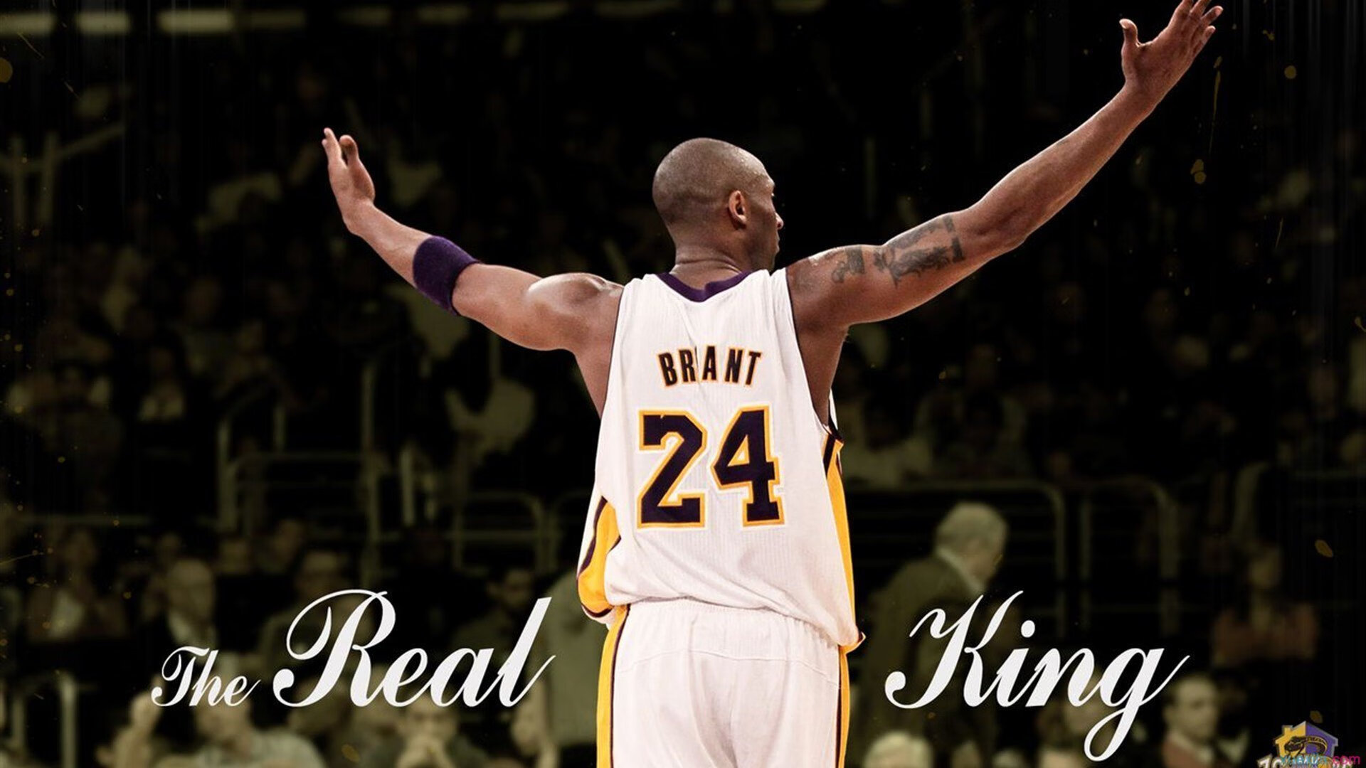 奥运周期关键战焦点战,丹麦力克日本,羽坛格局生变